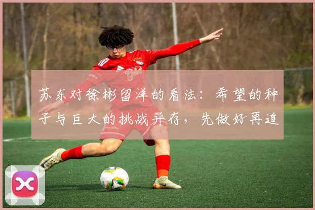 苏东对徐彬留洋的看法：希望的种子与巨大的挑战并存，先做好再追求完美