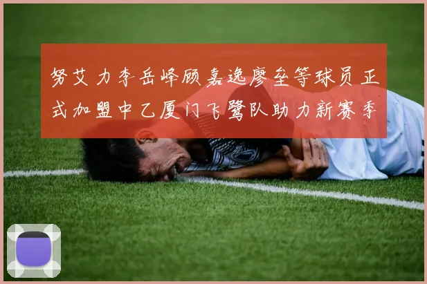 努艾力李岳峰顾嘉逸廖垒等球员正式加盟中乙厦门飞鹭队助力新赛季